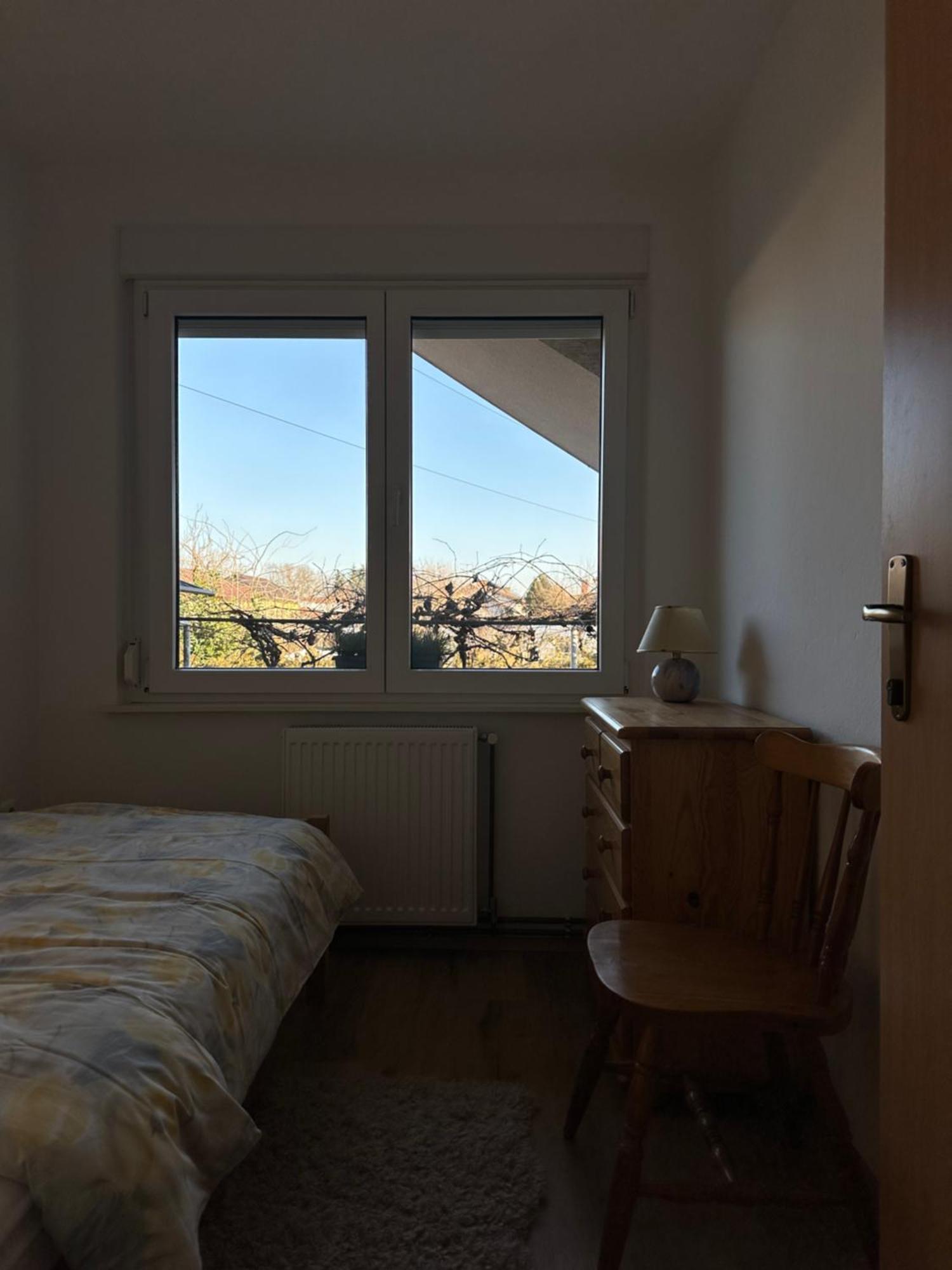 Vanessa Apartment Ljubljana Buitenkant foto